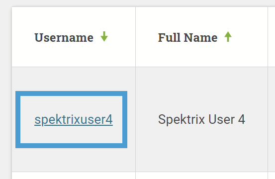 The Usename.