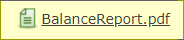 balance_report.png