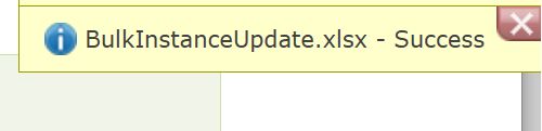 The Bulk Instance Update Tool successfully run.