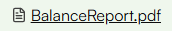 balance_report.png
